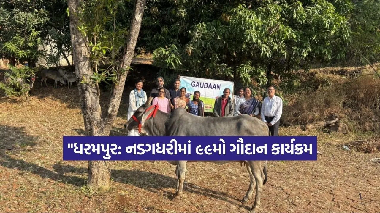 Dharmishtha 20260113 213625 0000.jpg