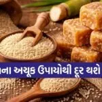 Makar Sankranti
