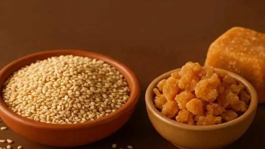 Makar Sankranti 