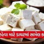 paneer8