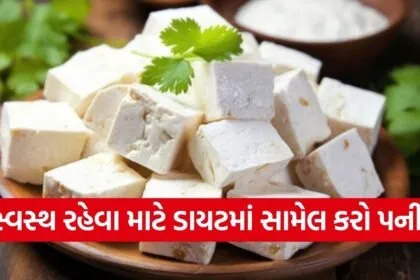 paneer8