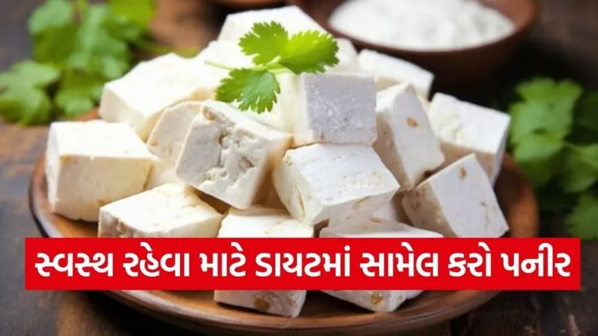 paneer8