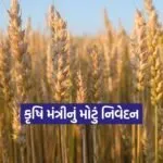 kruti 13
