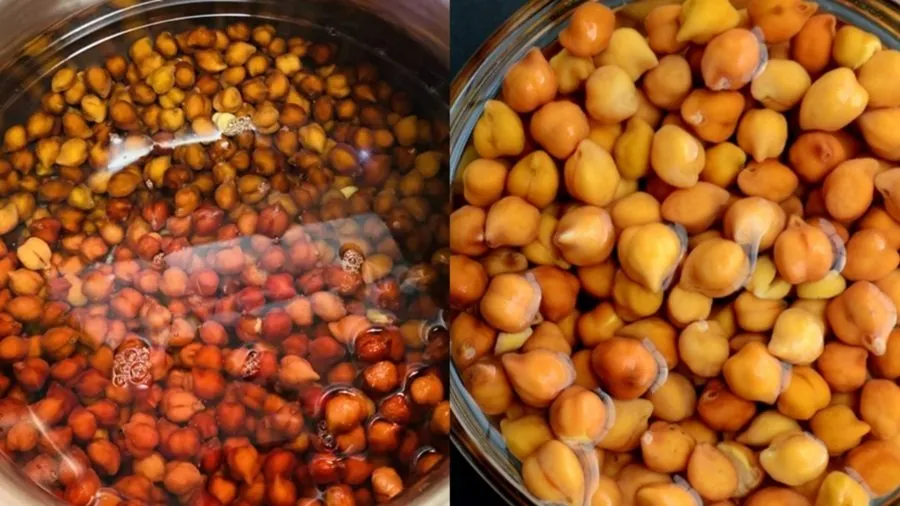 પલાળ્યા વગરના કઠણ ચણા પણ હવે કૂકરમાં ફટાફટ ચડશે, જાણો આ અનોખી રીત 3 chana.jpg