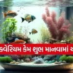 Fish Aquarium