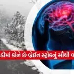 brain