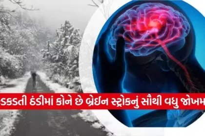 brain