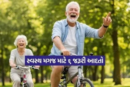 Dharmishtha 20260115 212346 0000