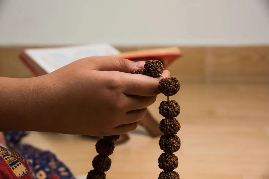 Rudraksha