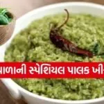 Spinach khichdi