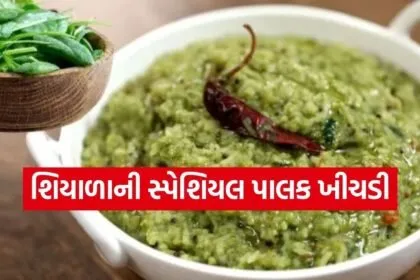 Spinach khichdi