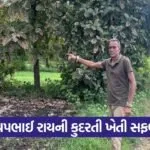Vadodara Natural Farming Success Story 1