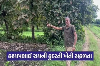 Vadodara Natural Farming Success Story 1