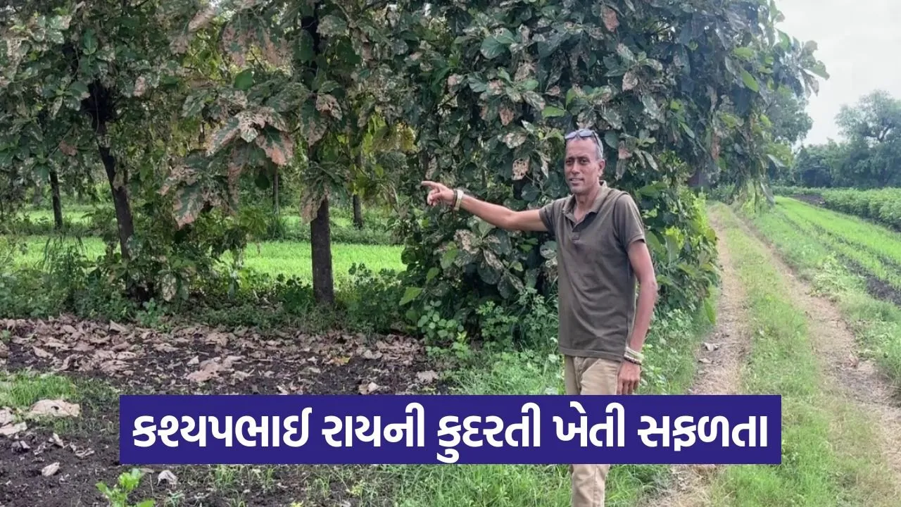 Vadodara Natural Farming Success Story 1.jpg