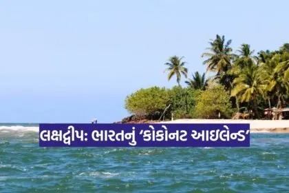 Dharmishtha 2026 01 16T162614.105