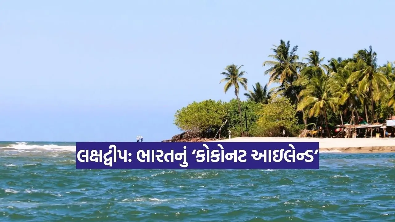 Dharmishtha 2026 01 16T162614.105.jpg