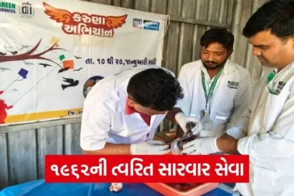 Sabarkantha 1962 Animal Helpline Uttarayan Rescue