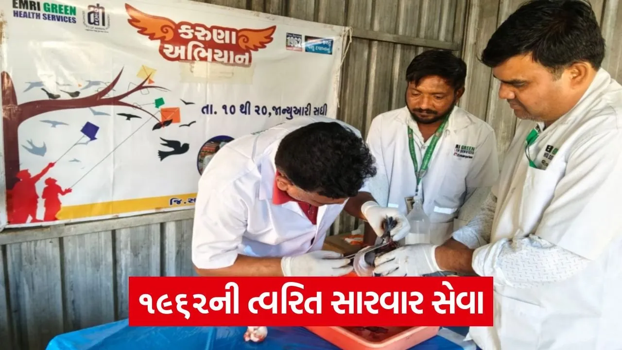 Sabarkantha 1962 Animal Helpline Uttarayan Rescue.jpg