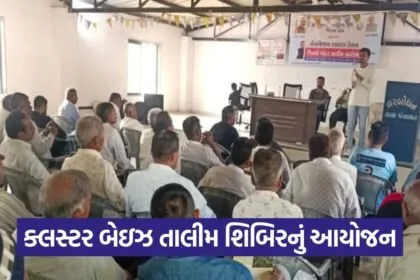 Barbodhan Natural Farming Training Olpad