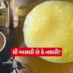 INDIA 1 2026 01 17T125446.711