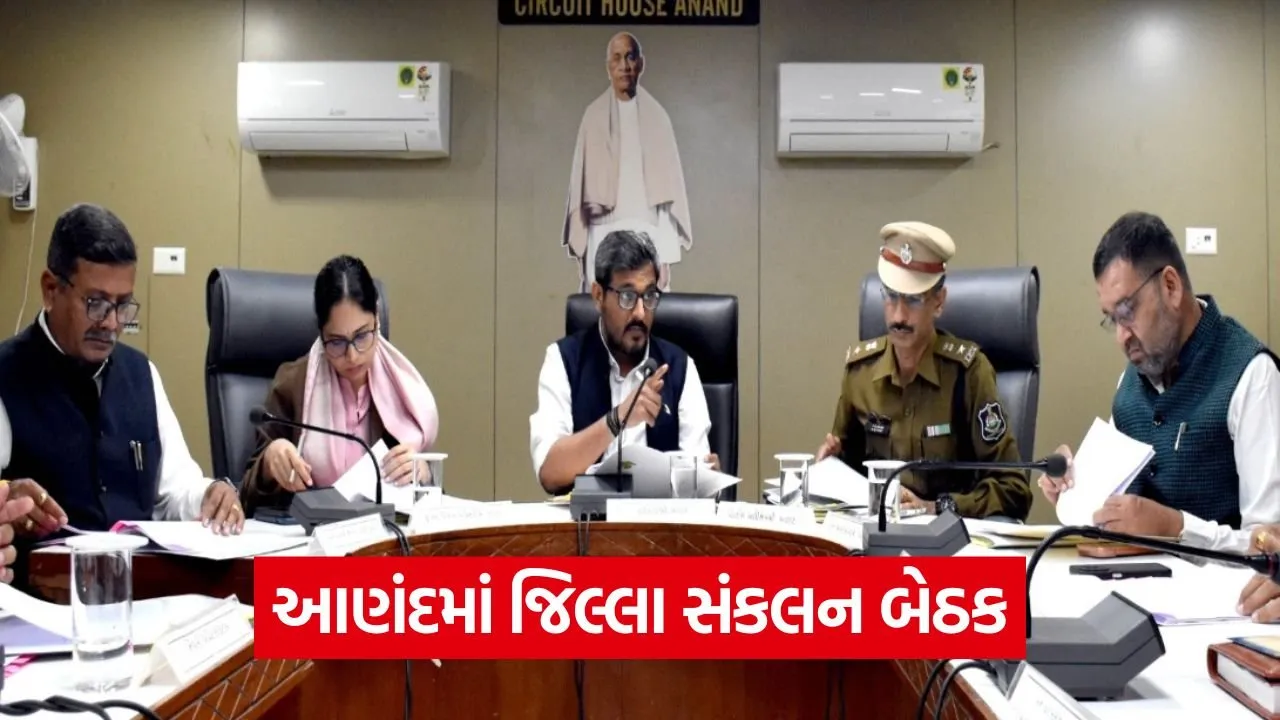 Anand District Coordination and Grievance Committee Meeting 1.jpg