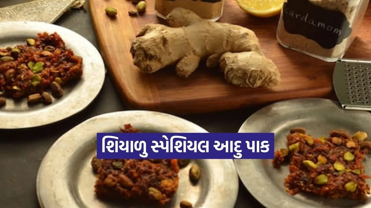 Dharmishtha 20260117 223223 0000.jpg