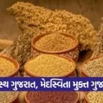 Millets And Pulses For Healthy Gujarat 1