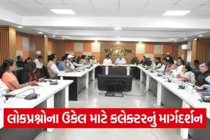 Sabarkantha District Coordination Grievance Committee Meeting 1