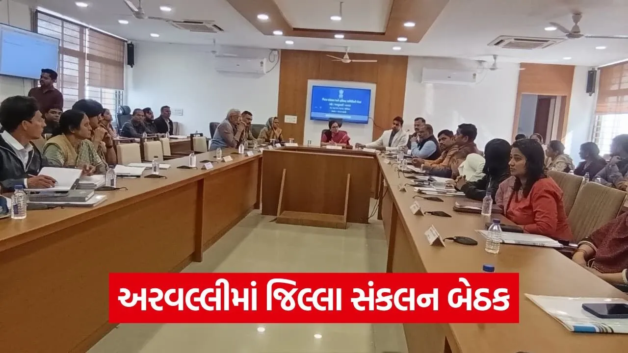 aravalli district coordination grievance meeting.jpg