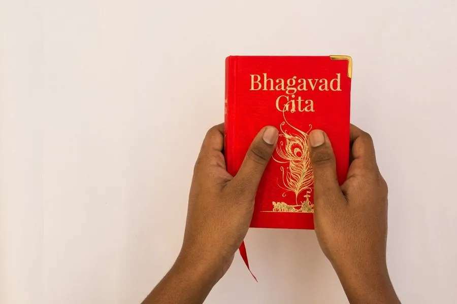 શું તમે દુઃખથી ડરો છો? શ્રીકૃષ્ણના આ ઉપદેશમાં છુપાયેલું છે સફળતાનું રહસ્ય 2 Gita Updesh