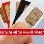 SIM Number