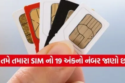 SIM Number