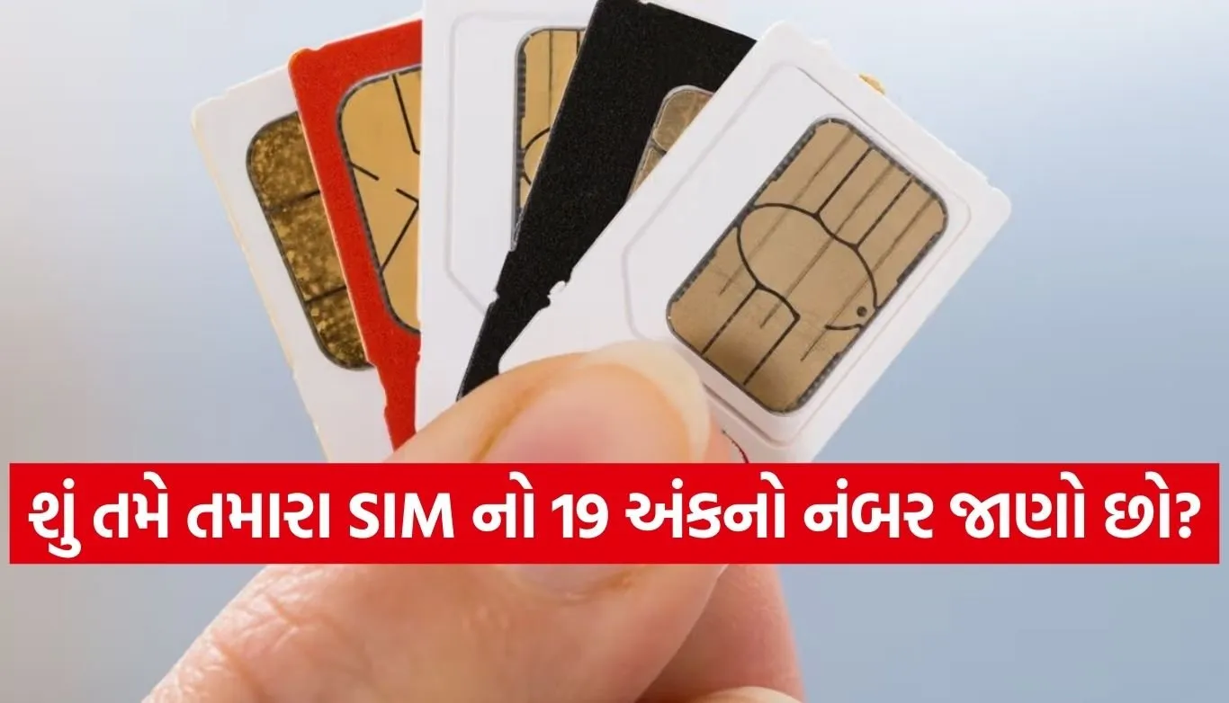 SIM Number