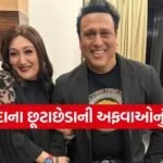 Govinda Divorce Rumours