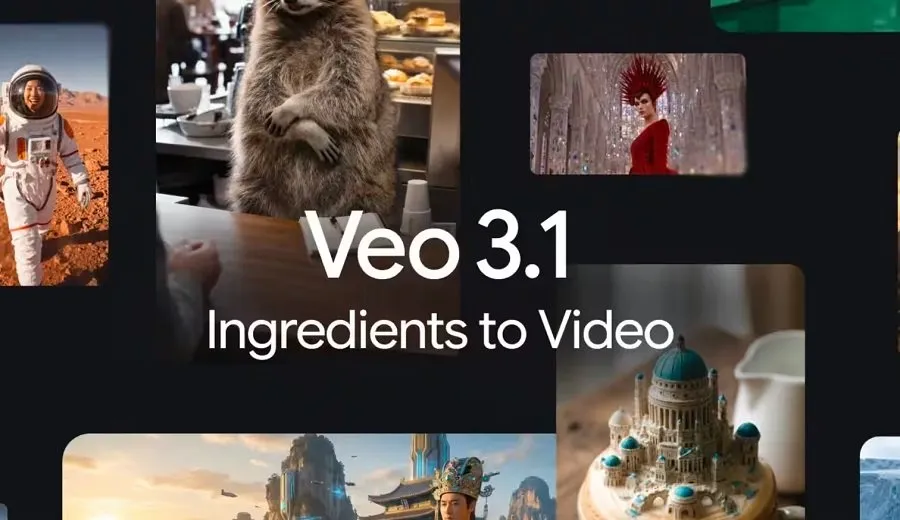 Google New Feature