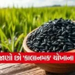 dharmishtha 1 10