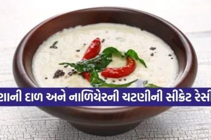Chickpea and coconut chutney