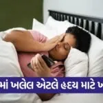 dharmishtha 1 13