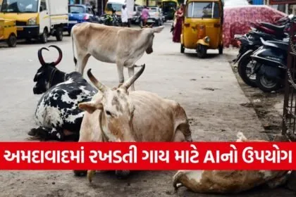 ahmedabad stray cattle ai pilot project 1