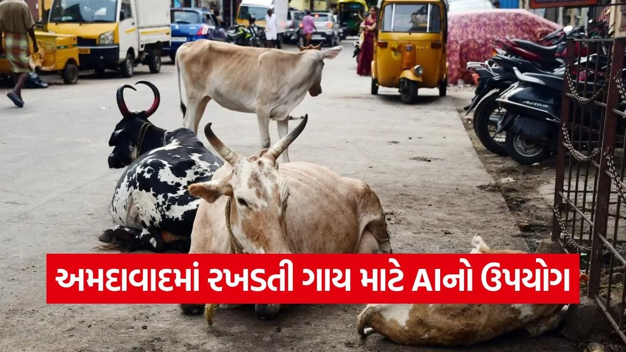 ahmedabad stray cattle ai pilot project 1.jpg