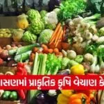 gandhinagar natural farming produce sale center kudasan