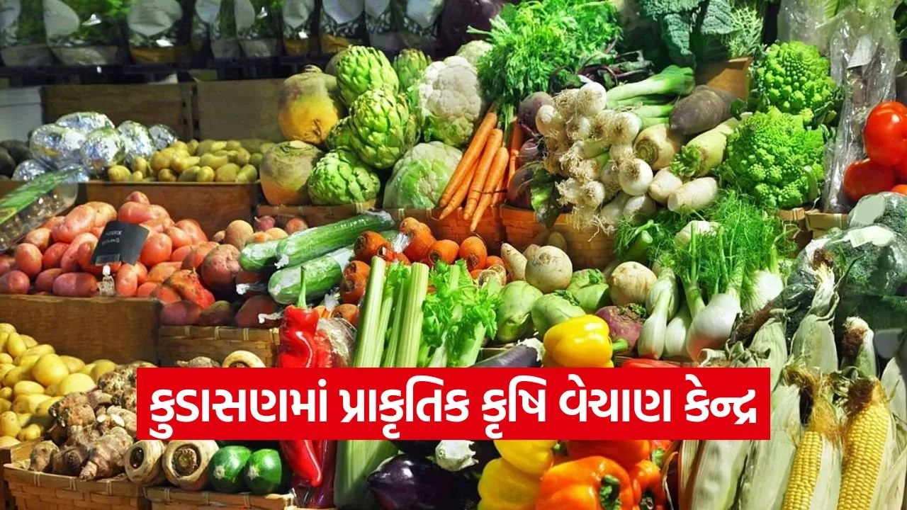 gandhinagar natural farming produce sale center kudasan.jpg