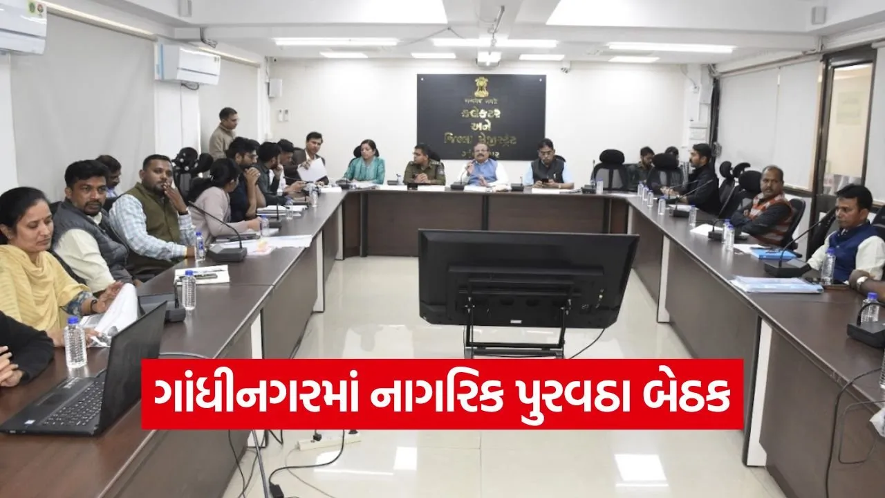gandhinagar district citizen supply and vigilance committee meeting.jpg