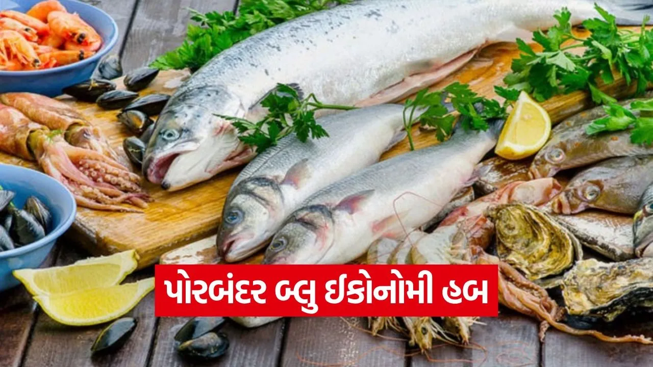 porbandar blue economy fisheries export 1.jpg