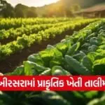 porbandar natural farming training khirsara 1