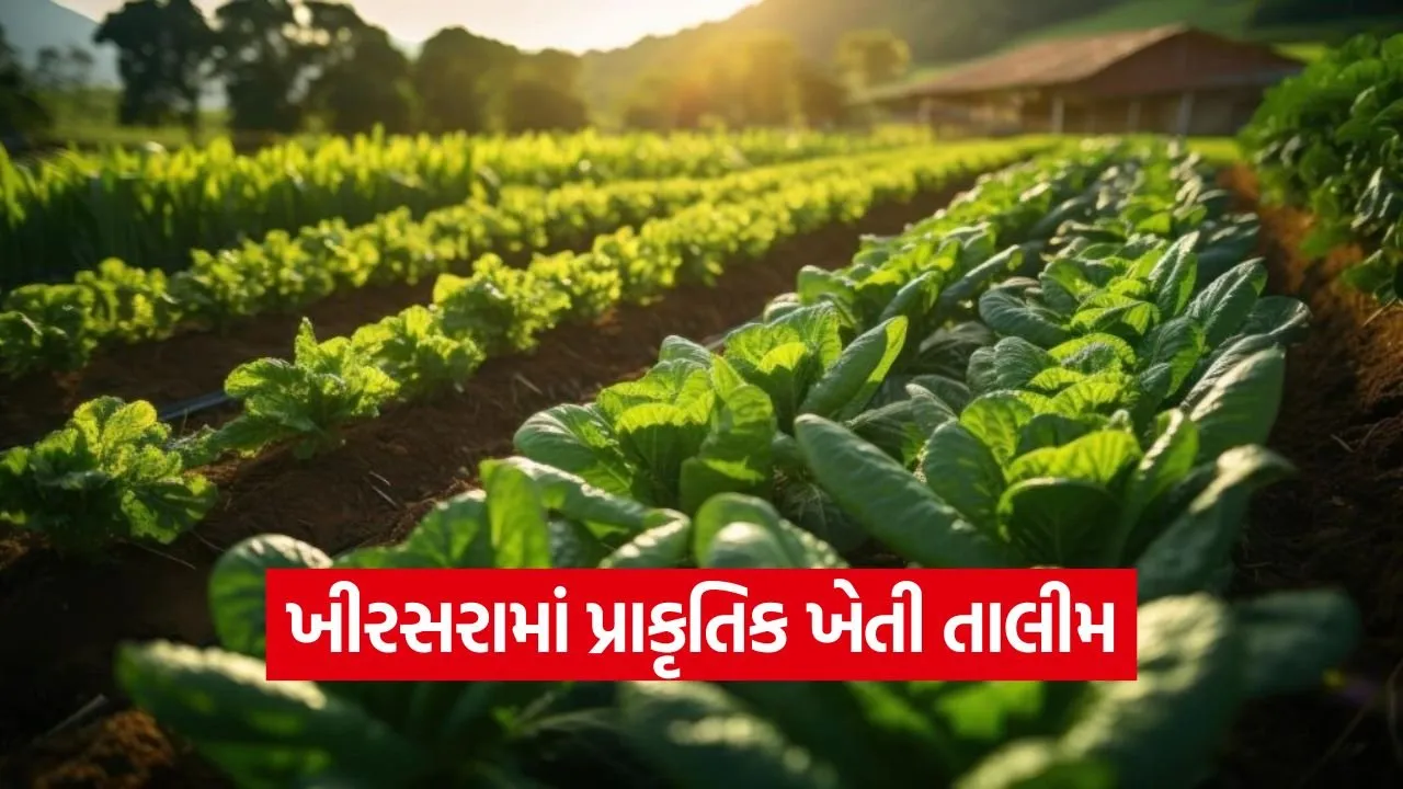 porbandar natural farming training khirsara 1.jpg