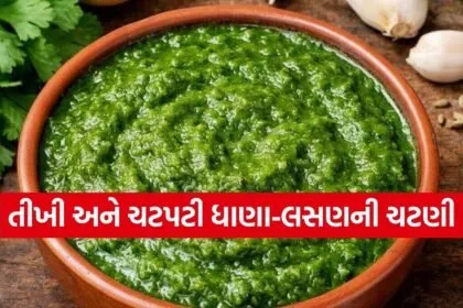 Coriander Garlic Chutney