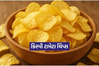 Dharmishtha 2026 01 20T170510.849