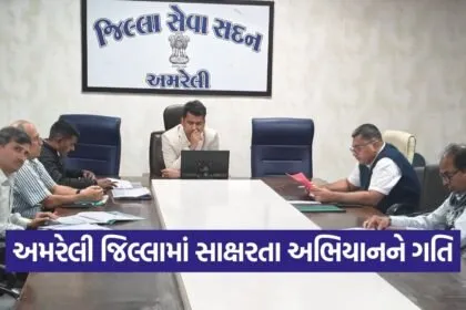 Amreli New India Literacy Programme Meeting