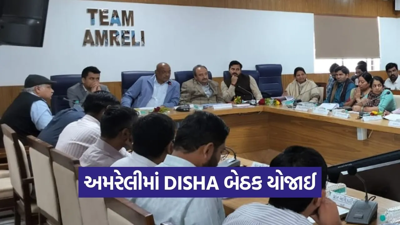Amreli DISHA Committee Meeting.jpg